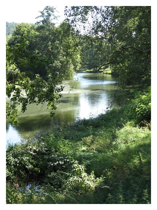 Svratka